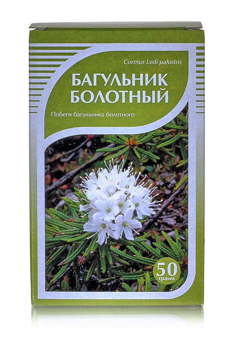 Багульник, побеги 50гр (Хорст) купить в Екатеринбурге за 99 руб | Добрый лес